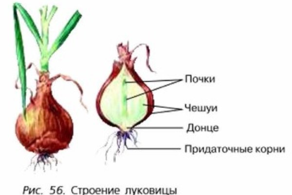 Кракен ссылки онлайн